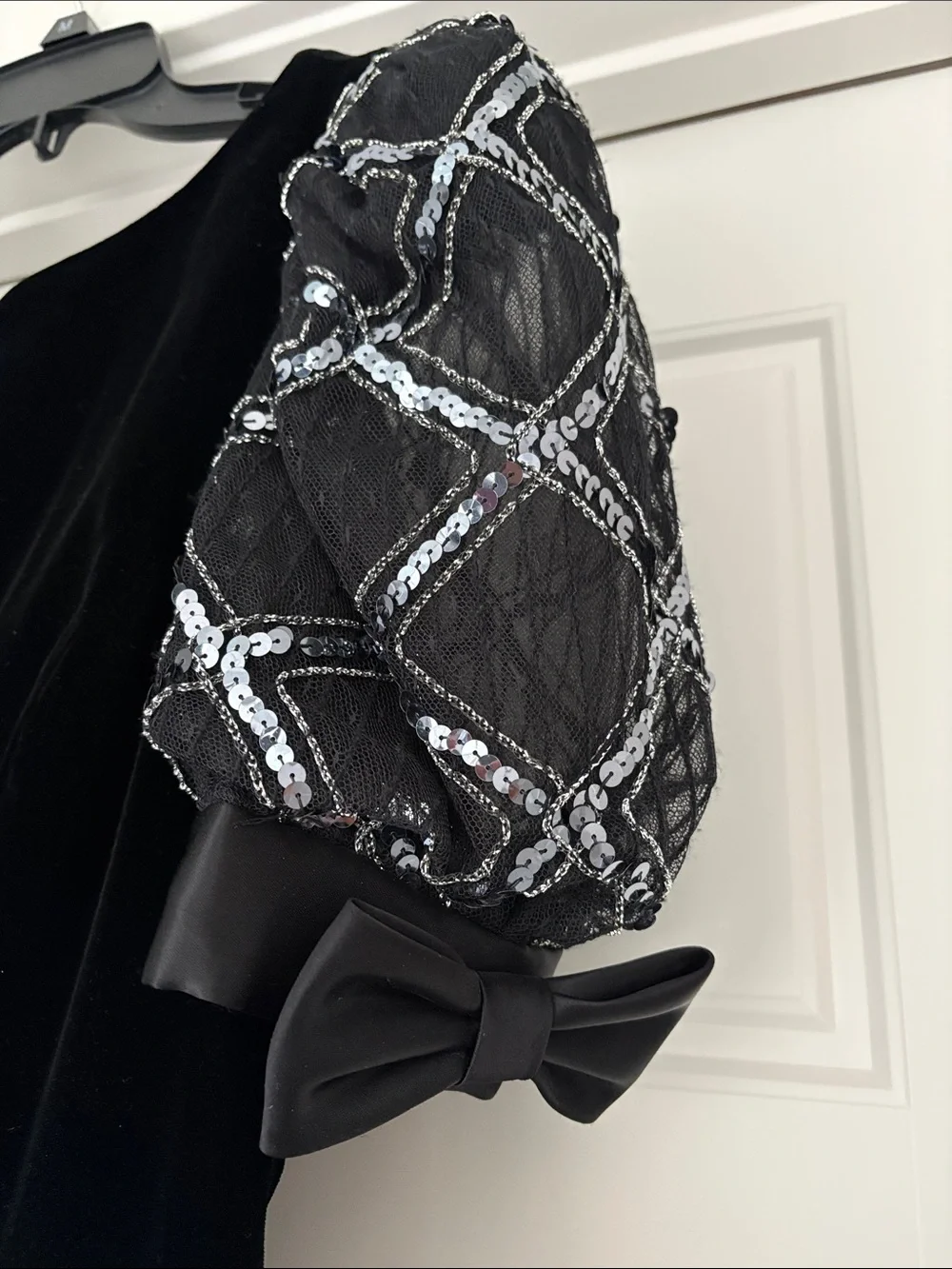 Vintage Galleria Elegant Velvet Dress with Lined Mesh Fabric Sequin Sleeves  6. - Picture 4 of 9